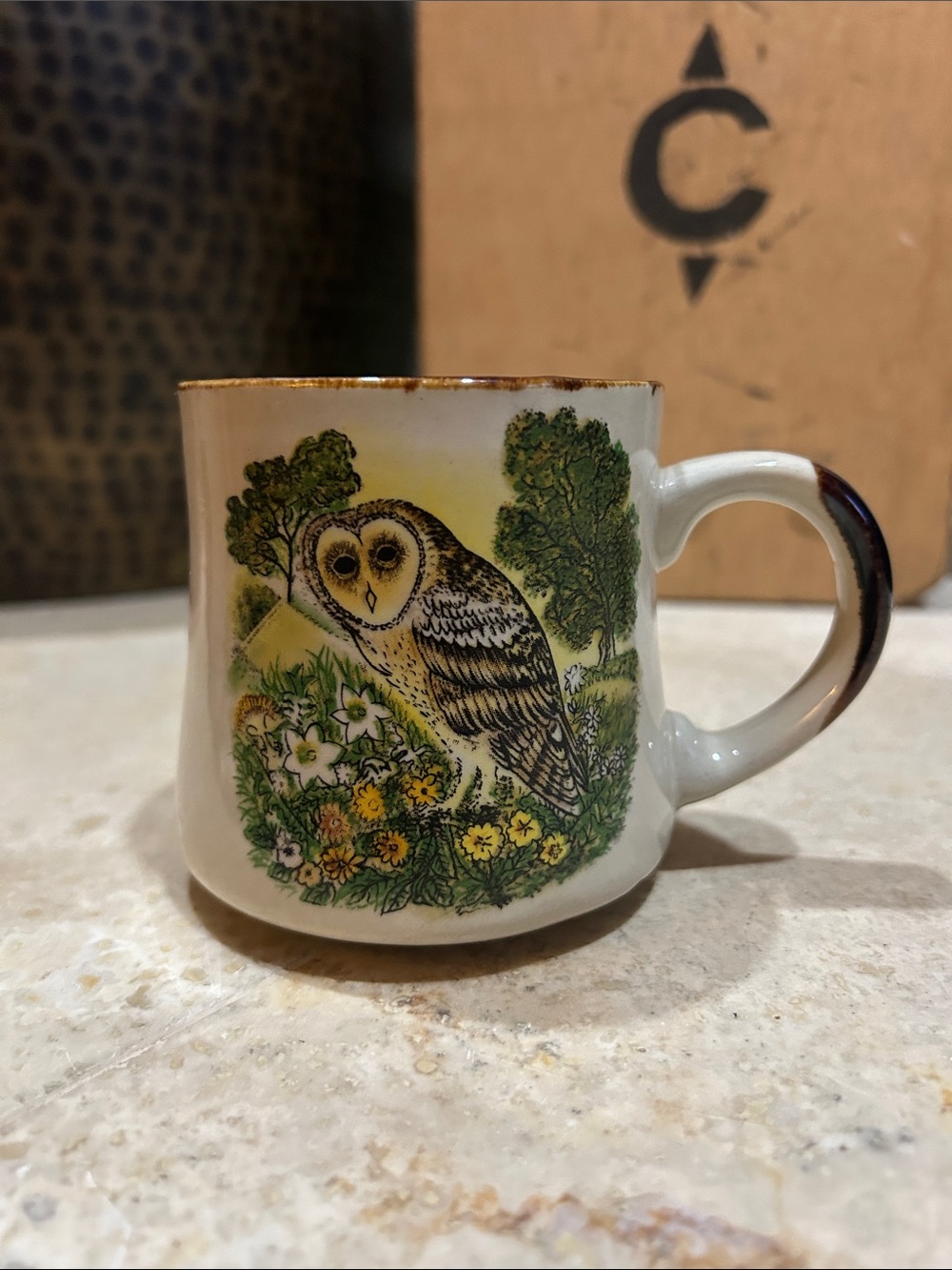 OTAGIRI JAPAN Cream Owl Pattern Ceramic Coffee Mug